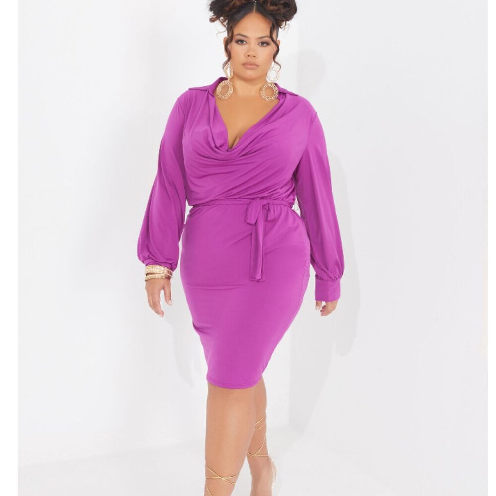 Curvy Girl by Ashley Stewart Bodycon Dress Size 1X NWT